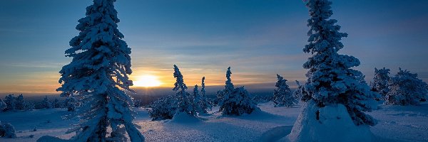 Zachód słońca, Zima, Gmina Posio, Region Laponia, Finlandia, Świerki, Drzewa, Park Narodowy Riisitunturi, Ośnieżone