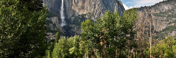Lasy, Park Narodowy Yosemite, Góry, Wodospad, Stan Kalifornia, Stany Zjednoczone
