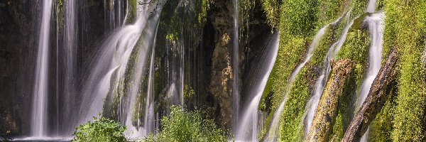 Wodospady, Park Narodowy Jezior Plitwickich, Roślinność, Chorwacja