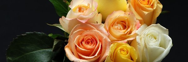 Kolorowe, Liście, Kwiaty, Róże