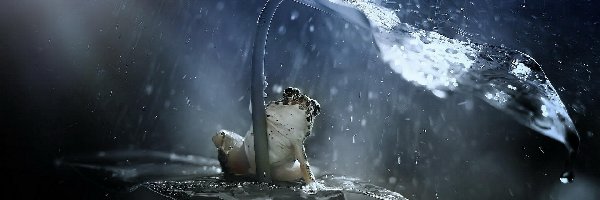 Żabka, Deszcz, Liść, Żaba