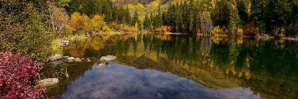 Jesień, Jezioro Lizard Lake, Wzgórza, Drzewa, Stan Kolorado, Stany Zjednoczone