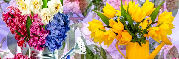 Kwiaty, Tulipany, Hiacynty, Grafika, Konewki