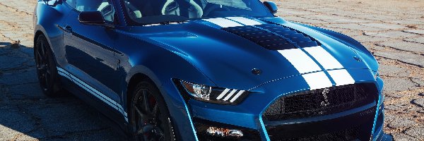 2019, Ford Mustang Shelby GT500