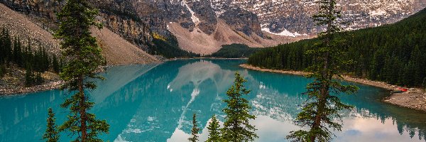 Drzewa, Park Narodowy Banff, Jezioro Moraine, Góry, Alberta, Kanada