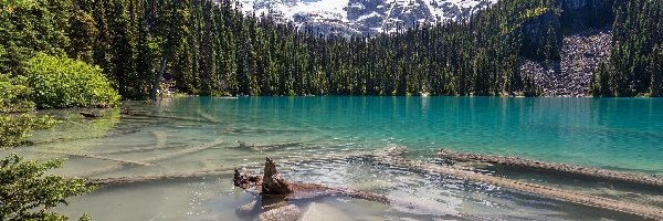 Jezioro Middle Joffre, Kolumbia Brytyjska, Góry, Las, Park Prowincjonalny Joffre Lakes, Brzeg, Kamienie, Kanada