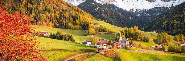 Masyw Odle, Włochy, Lasy, Dolina Val di Funes, Kościół, Wieś Santa Maddalena, Góry, Domy, Jesień, Dolomity, Drzewa