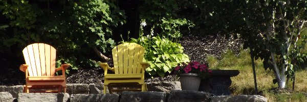 Krzesła, Dwa, Trawa, Kwiaty, Ogrodowe, Kamienie, Drzewa, Ogród