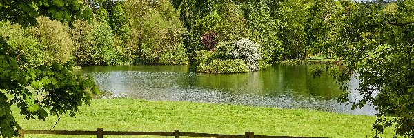 Ogrodzenie, Park, Jezioro, Wieś Thenford, Anglia, Krzewy, Drzewa
