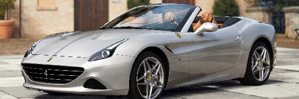 Ferrari California, Srebrne