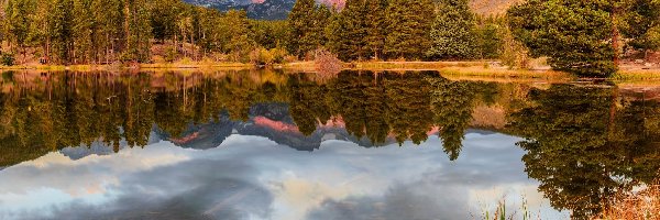 Drzewa, Hrabstwo Larimer, Park Narodowy Gór Skalistych, Stan Kolorado, Stany Zjednoczone, Jezioro, Jezioro Bierstadt Lake