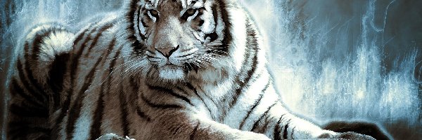 Paintography, Tygrys, Leżący