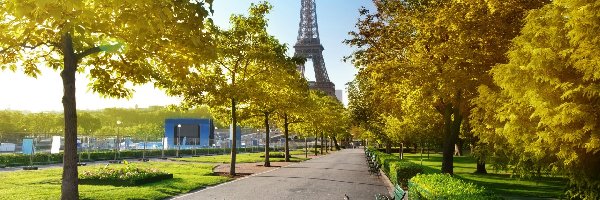 Francja, Ławki, Wieża Eiffla, Aleja, Park, Jesień, Paryż