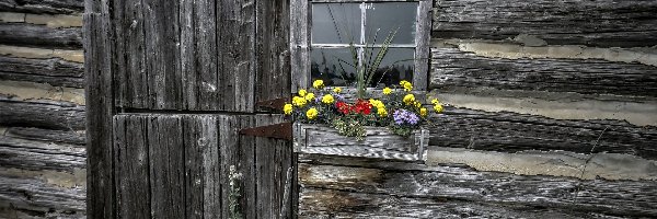 Dom, Kwiaty, Okno, Drewniany