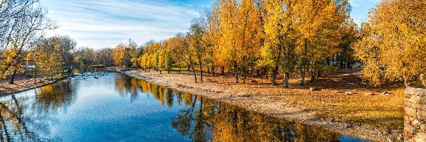 Rzeka, Odbicie, Drzewa, Jesień