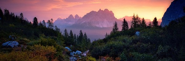 Kamienie, Wschód słońca, Góry Dolomity, Prowincja Belluno, Włochy, Roślinność, Drzewa, Masyw Cadini di Misurina, Las