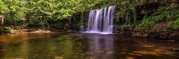 Skały, Wodospad Sgwd Yr Eira, Rzeka Afon Hepste, Drzewa, Park Narodowy Brecon Beacons, Walia