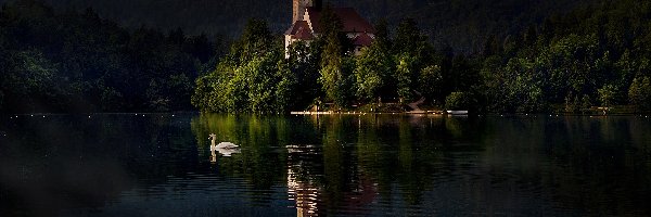 Wieczór, Wyspa Blejski Otok, Kościół Zwiastowania Marii Panny, Łabędź, Jezioro Bled, Słowenia
