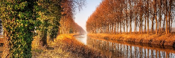 Rzeka, Odbicie, Drzewa, Jesień