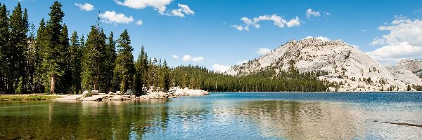 Góry, Park Narodowy Yosemite, Jezioro Tenaya, Las, Stan Kalifornia, Stany Zjednoczone