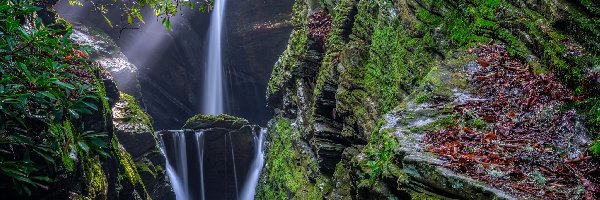 Przebijające światło, Wodospad Duggers Creek Falls, Skały, Stan Karolina Północna, Stany Zjednoczone, Gałęzie, Las