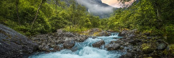 Góry, Rzeka Rauma, Kamienie, Drzewa, Dolina Romsdalen,  Norwegia