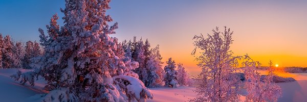 Śnieg, Drzewa, Zachód słońca, Zima
