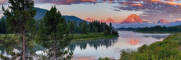 Drzewa, Park Narodowy Grand Teton, Rzeka Snake River, Stan Wyoming, Stany Zjednoczone, Las, Góry Skaliste