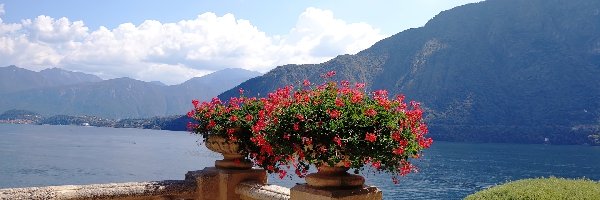 Kwiaty, Como, Taras, Włochy, Jezioro, Góry
