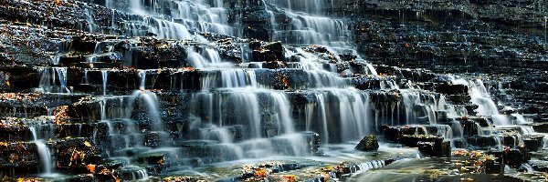 Liście, Hamilton, Wodospad Albion Falls, Prowincja Ontario, Kanada, Żółte, Skały