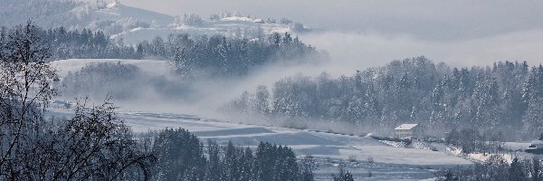 Mgła, Śnieg, Szwajcaria, Miejscowość Hirzel, Drzewa, Domy, Wzgórza, Zima