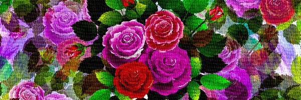 Kolorowe, Grafika 2D, Róże, Kwiaty