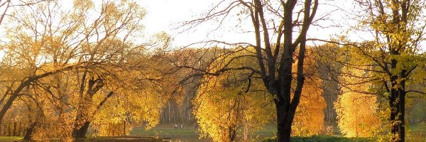 Rzeka, Jesień, Drzewa, Park