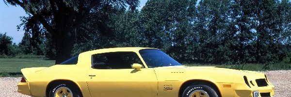Z28, Chevrolet Camaro, Żółty