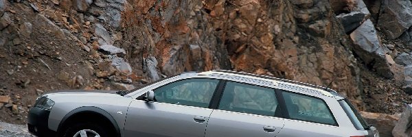 Lewy Profil, Audi Allroad, Srebrne
