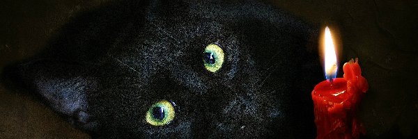 Czarny, Świeca, Kot, Oczy, Zielone