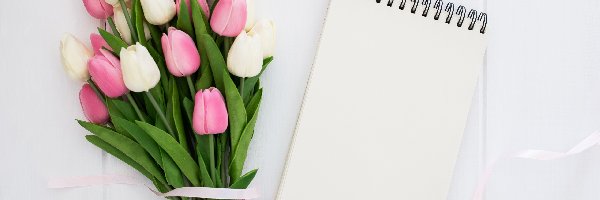 Wstążka, Tulipany, Bukiet, Notes, Białe, Różowe