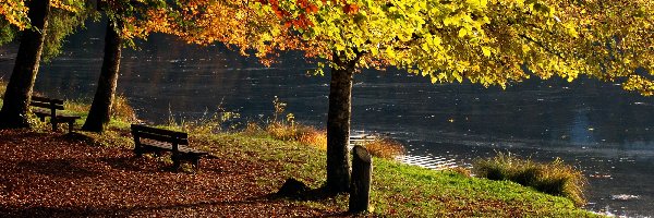 Rzeka, Ławeczki, Drzewa, Jesień
