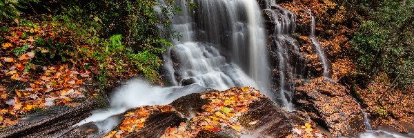 Wodospad, Jesień, Skały, Roślinność, Liście