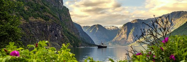 Góry, Wieś Flam, Statek, Kwiaty, Fiord Aurlandsfjord, Norwegia