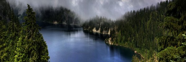 Mgła, Jezioro, Las
