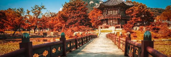 Rzeka, Most, Jesień, Południowa, Góra, Seul, Korea, Pałac