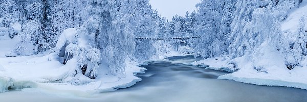 Śnieg, Finlandia, Las, Park Narodowy Oulanka, Most, Rzeka Kitkajoki, Zima, Drzewa, Katarakty Myllykoski, Laponia, Ośnieżone