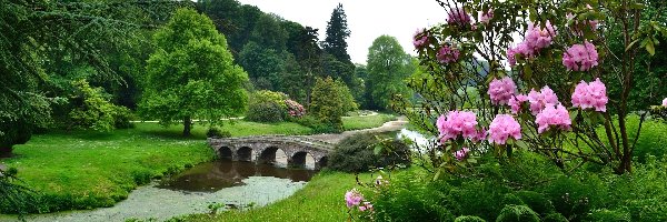 Mostek, Kwiaty, Park, Anglia, Stourhead