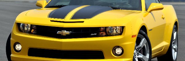 Żółty, Camaro, Chevrolet