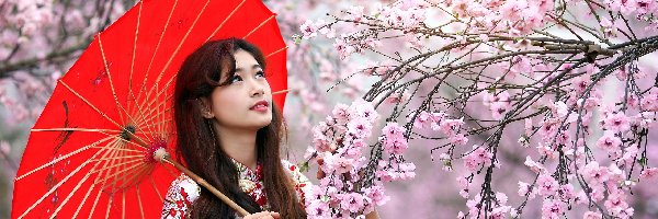 Park, Kwitnące, Drzewa, Wiosna, Parasol, Japonka