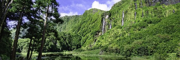 Jezioro, Wodospady Poco de Bacalhau Falls, Góry, Drzewa, Wyspa Flores, Portugalia