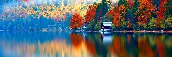 Jezioro, Drzewa, Jesień, Odbicie, Domek