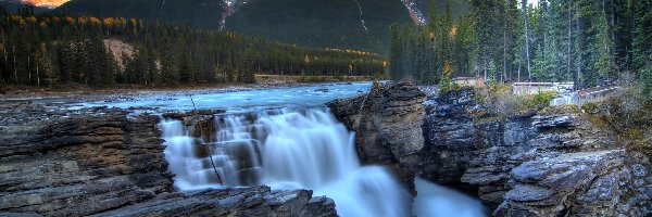 Rzeka Athabasca, Prowincja Alberta, Skały, Las, Park Narodowy Jasper, Wodospad Athabasca Falls, Góry, Kanada