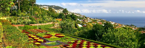 Panorama, Wyspa Madera, Kwiatowe, Dywany, Morze, Miasteczka, Park, Portugalia
